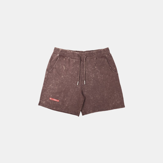 BROWN FADE SHORTS