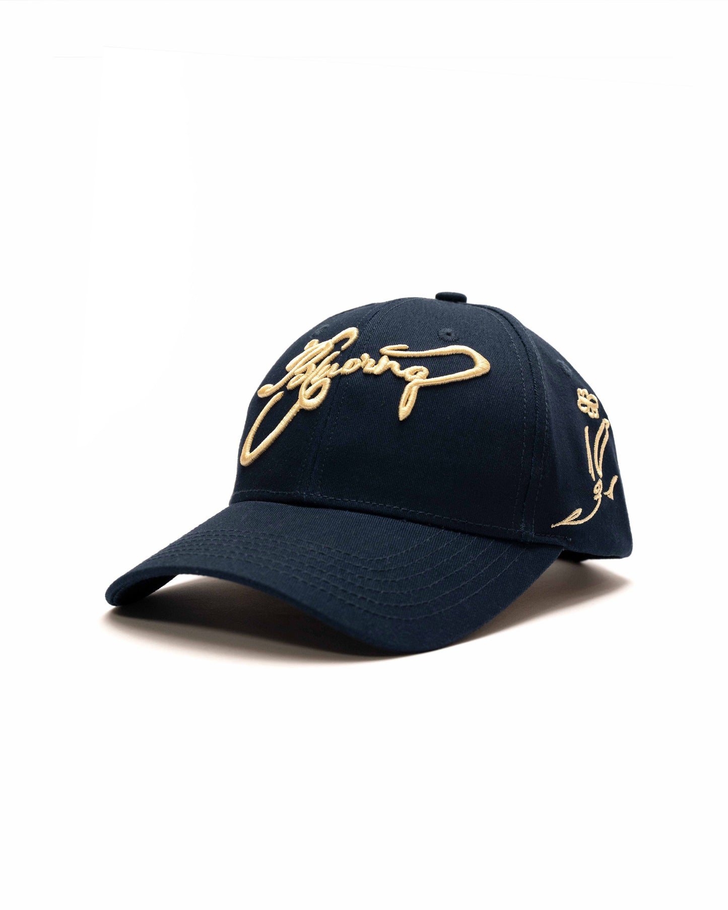 Navy & Beige Cap
