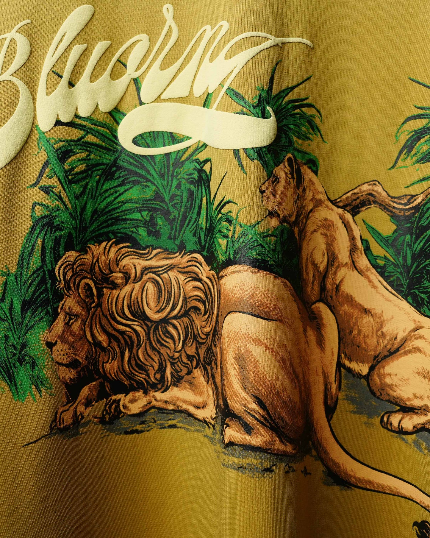 BLUORNG Savanna oversized t-shirt