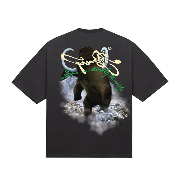 Grey Short Sleeve T-Shirts for Concert