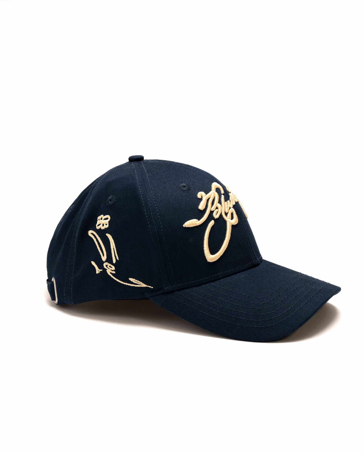 Navy & Beige Cap