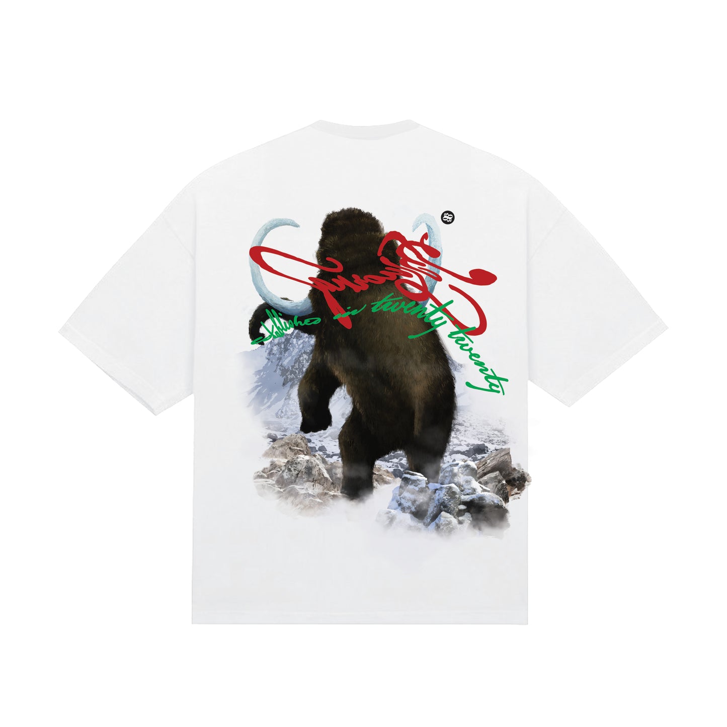 White Short Sleeve T-Shirts for Concert