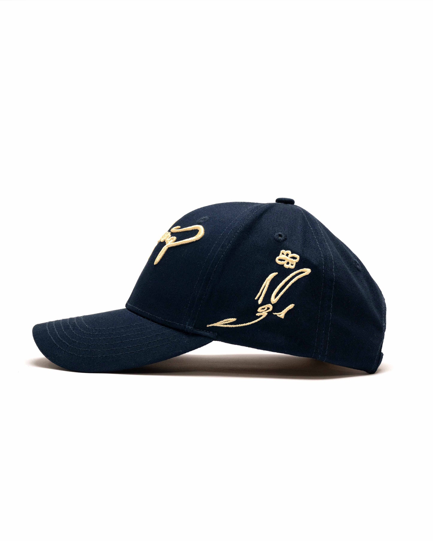 Navy & Beige Cap