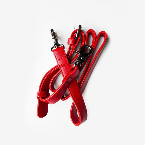 RUBY RED MINI CROSSBODY BAG - Bluorng